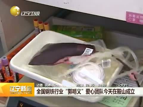 全國(guó)鋼鐵行業(yè)“郭明義”愛(ài)心團(tuán)隊(duì)成立